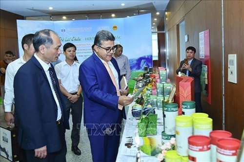 Workshop seeks to boost Lai Chau’s tea exports