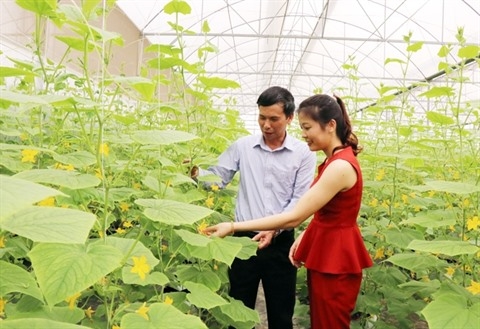 Bac Ninh un exemple de développement agricole et rural durable