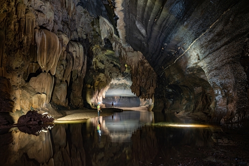 A la découverte des grottes et des animaux sauvages au milieu de la forêt de Phong Nha