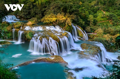 Admirez la beauté de la cascade Ban Gioc à travers les saisons