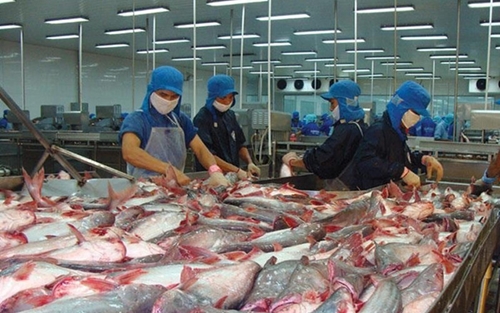 越南楂渔对美国的出口价格创新高
