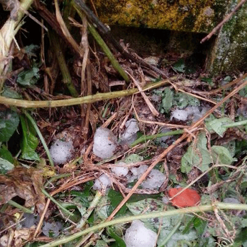 Hailstorm causes serious damages in Lao Cai province