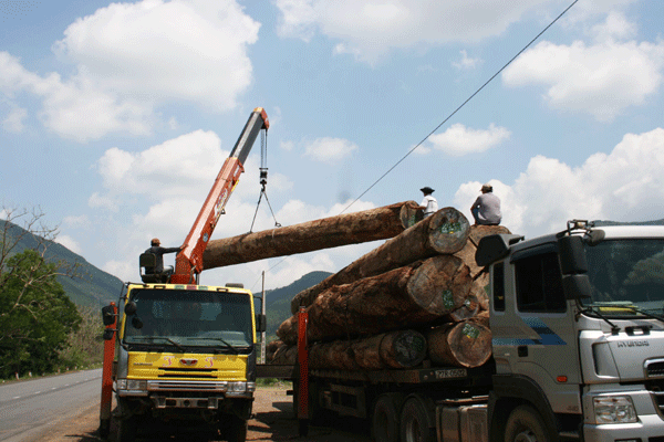 Gia Lai Xử lý xe quá tải, quá khổ - cần sự kiểm tra đồng bộ