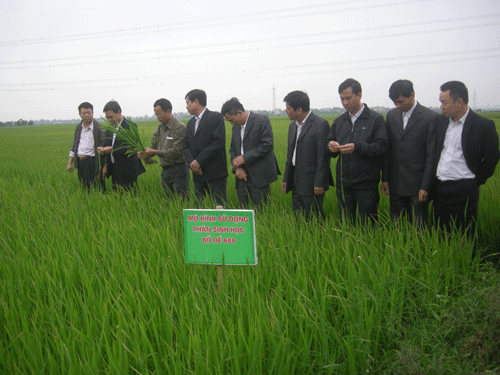 Cần nâng cao hơn nữa vai trò của khoa học công nghệ nông nghiệp