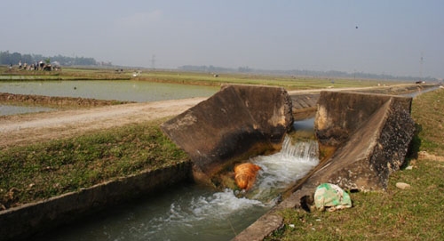 Yên Thế Chủ động các biện pháp phòng, chống hạn bảo đảm nước tưới vụ Đông Xuân 2014 – 2015