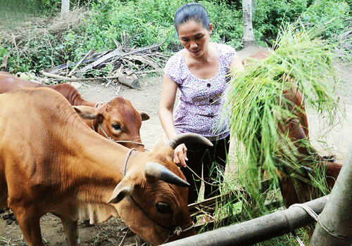 “Phát triển chăn nuôi đại gia súc theo hướng an toàn, bền vững vùng Trung du miền núi phía Bắc”