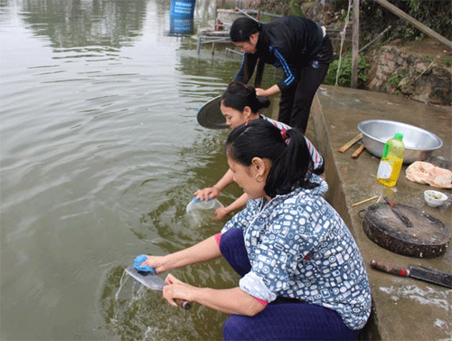 Hà Nội mới chỉ có 36 dân số nông thôn được dùng nước sạch