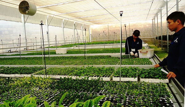 Chuỗi văn phòng chia sẻ kết hợp vườn ươm khởi nghiệp đầu tiên tại Việt Nam   VTVVN
