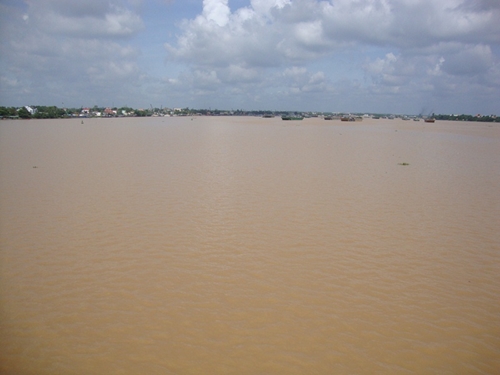 Nước sông Đồng Nai bị ô nhiễm nặng