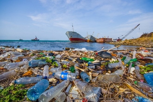Phấn đấu 100 các khu du lịch biển không sử dụng sản phẩm nhựa dùng 1 lần