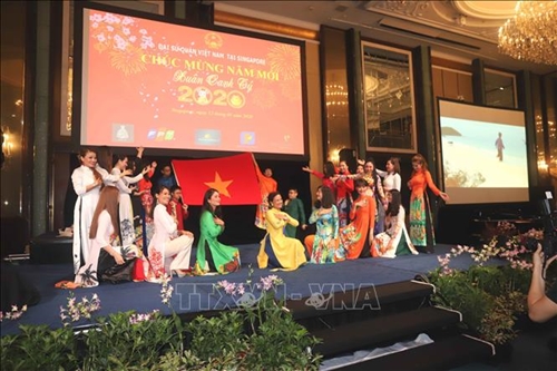 Người Việt Nam ở nước ngoài tổ chức đón Tết Nguyên đán