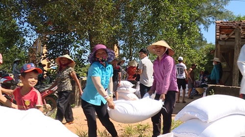 Hỗ trợ gạo cho 6 tỉnh trong dịp Tết Canh Tý 2020