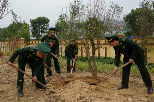 BĐBP Lào Cai phát động Tết trồng cây