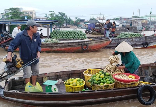 Nông dân Tiền Giang phát triển kinh tế từ mô hình du lịch miệt vườn