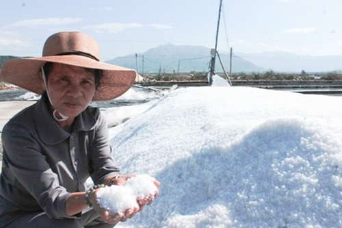 Nữ nông dân với khát vọng đổi thay vùng muối