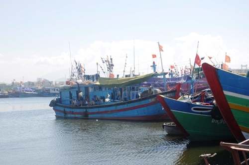 Cần chấm dứt tình trạng tàu cá vi phạm ở vùng biển nước ngoài