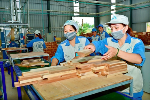 Phấn đấu đến năm 2030, Tuyên Quang là tỉnh hình mẫu phát triển lâm nghiệp