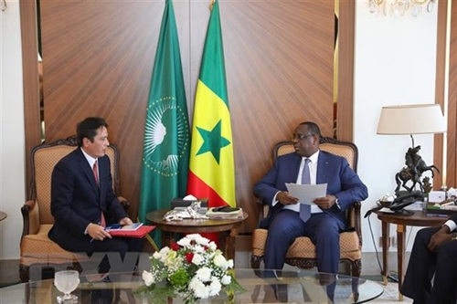 Nhiều tiềm năng thúc đẩy và mở rộng quan hệ hợp tác Việt Nam-Senegal
