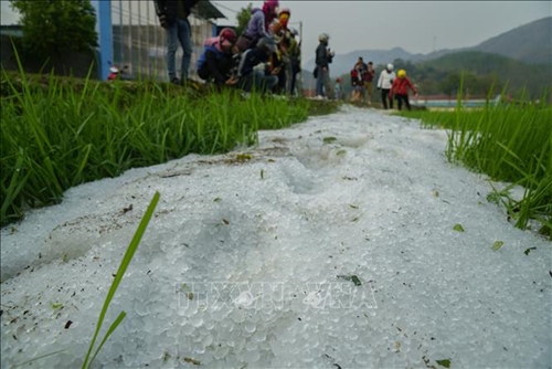 Dông lốc, mưa đá gây thiệt hại về nhà ở, cây trồng tại Điện Biên
