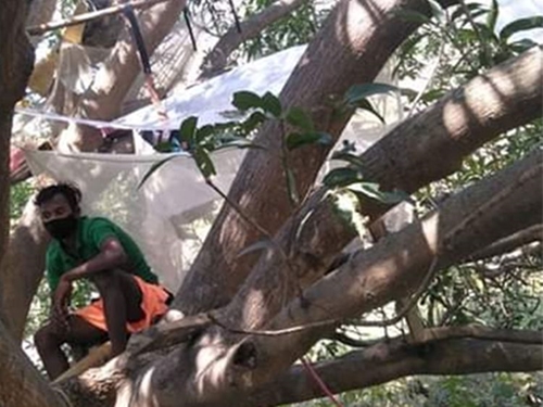 Ấn Độ Cách ly phòng chống COVID-19 trên cây
