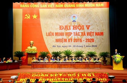 Tổ chức Đại hội Liên minh Hợp tác xã Việt Nam và cấp tỉnh nhiệm kỳ 2020-2025