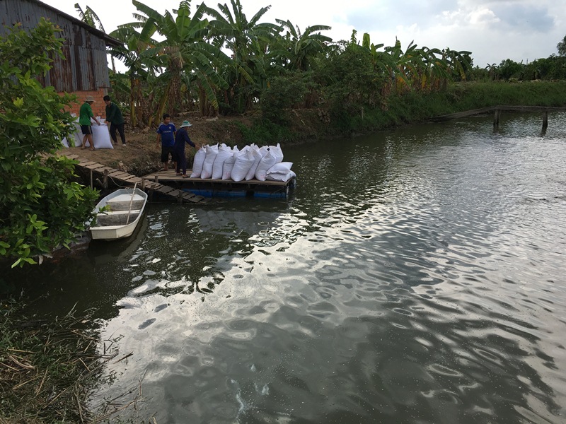 Bản tin số 5 Cải tiến quá trình quản lý chất thải ao nuôi cá tra tại Đồng  bằng sông Cửu Long Việt Nam  Trung tâm Chuyển giao Công nghệ và