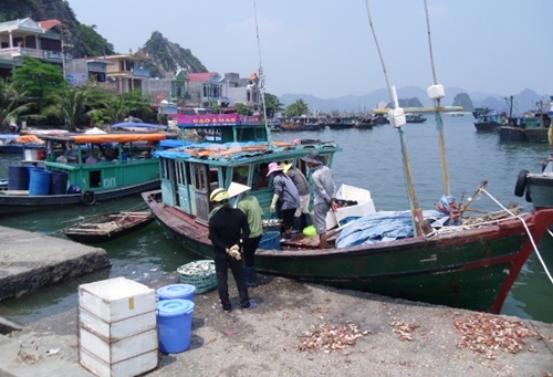 Thiết lập nền tảng cho quản lý tổng hợp vùng bờ tại một số tỉnh ven biển Việt Nam