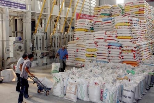 Giá trị xuất khẩu gạo tăng mạnh trong 6 tháng đầu năm
