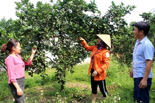 Huyện miền núi Vũ Quang tìm hướng đột phá để phát triển