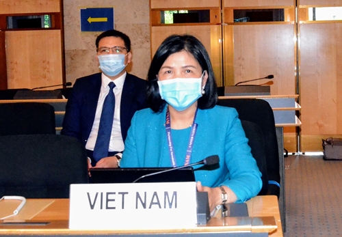 Việt Nam cam kết bảo vệ và thúc đẩy quyền con người