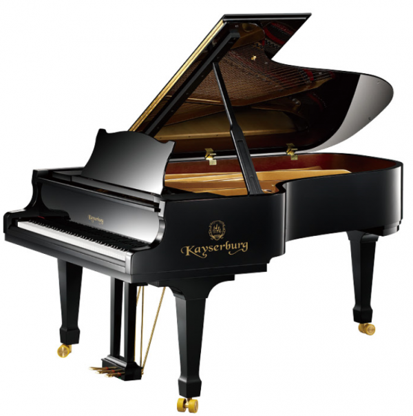 TED SAIGON – Phân phối và bảo hành chính hãng nhiều thương hiệu Piano hàng đầu thế giới