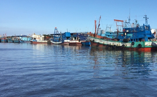 Phú Yên Thúc đẩy phát triển kinh tế biển