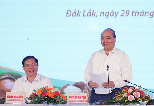 Thủ tướng Nguyễn Xuân Phúc Các địa phương cần xây dựng chiến lược phát triển cây mắc ca ở Việt Nam