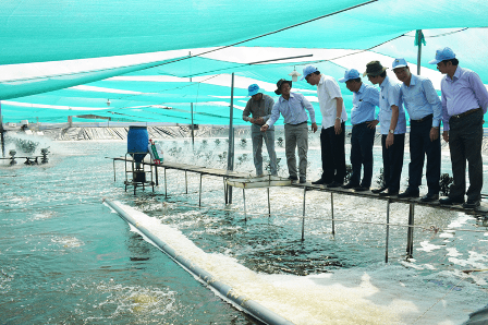 Khoa học công nghệ thúc đẩy ngành thủy sản phát triển