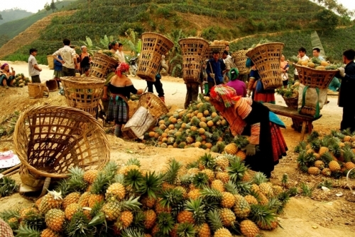 Mường Khương tiếp tục đẩy mạnh phong trào “Nông dân sản xuất kinh doanh giỏi”