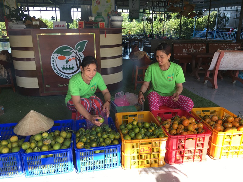 Đồng Tháp: Tái cơ cấu nông nghiệp được triển khai đúng hướng