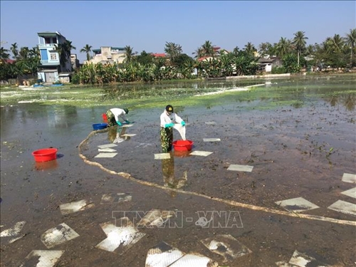 Danh mục chất phân tán được sử dụng trong vùng biển Việt Nam