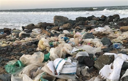 Xây dựng Đề án tham gia đàm phán Thỏa thuận toàn cầu về rác thải nhựa đại dương