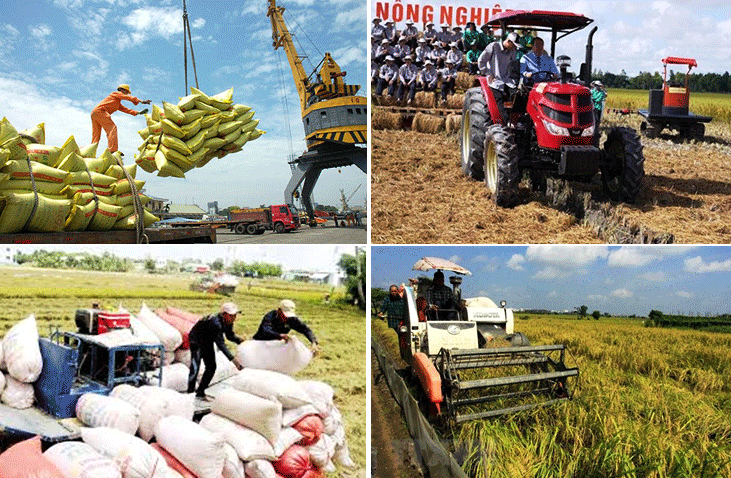 Việt Nam tiếp tục duy trì vị thế về xuất khẩu gạo