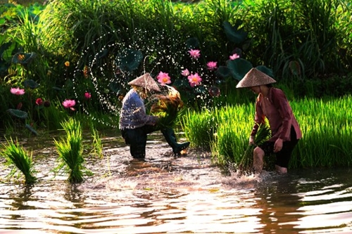 Nghệ sĩ nhiếp ảnh trẻ Hưng Yên quảng bá Hình ảnh Việt Nam ra Thế giới
