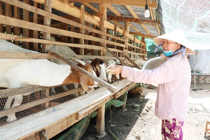 Quy trình rà soát hộ nghèo, hộ cận nghèo?