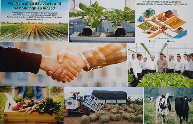 Những mô hình khởi nghiệp nông nghiệp hữu cơ tại Việt Nam
