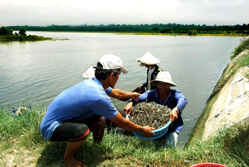 Thái Bình Thời tiết thuận lợi cho nuôi trồng thủy sản