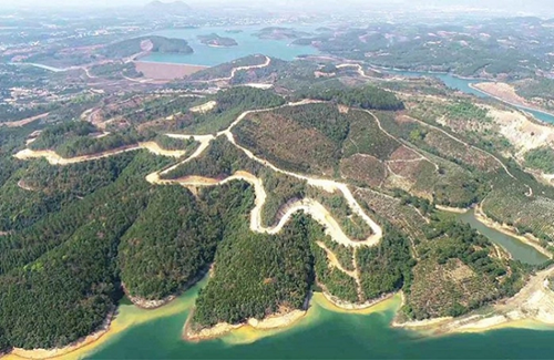 Lâm Đồng  Siêu dự án 25 000 tỷ đồng làm mất 257ha đất rừng