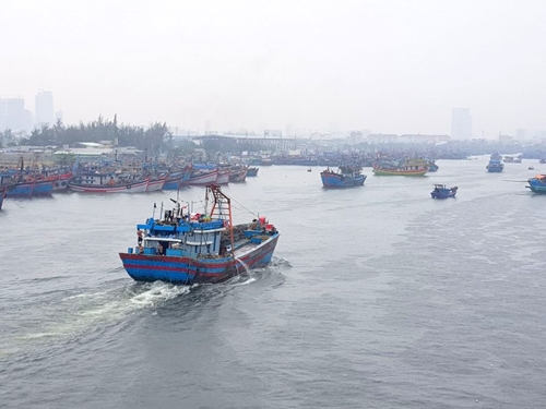 Quảng Nam cấm tàu thuyền ra khơi từ 12h00 ngày 06 10