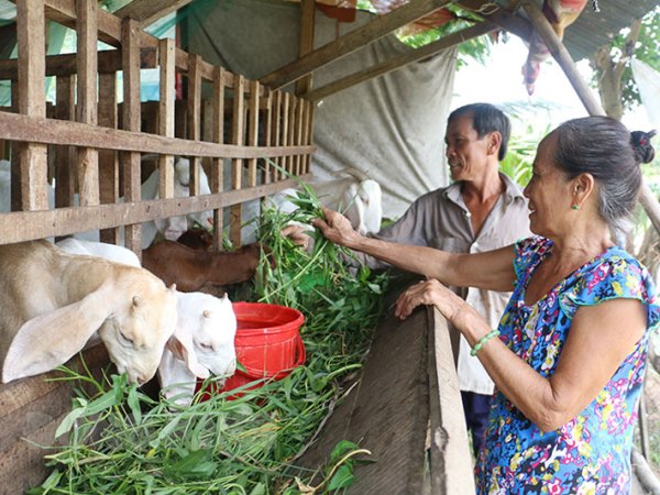 Thịt bò nhập khẩu vẫn đang chiếm ưu thế tại thị trường trong nước  Nhịp  sống kinh tế Việt Nam  Thế giới