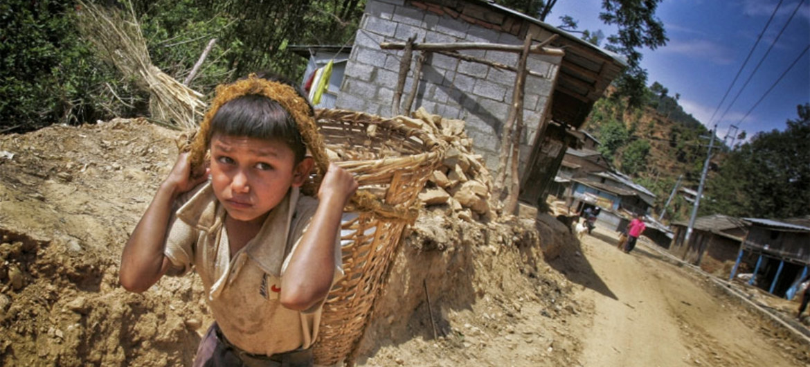 FAO kêu gọi chấm dứt sử dụng lao động trẻ em trong nông nghiệp