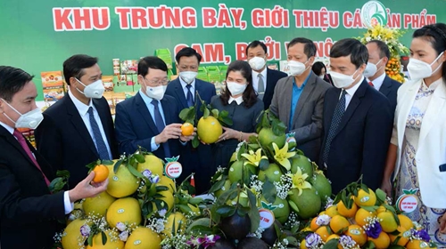 Bắc Giang tổ chức Hội nghị xúc tiến tiêu thụ cam, bưởi và các nông sản chủ lực, đặc trưng