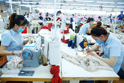 Thái Bình từng bước phục hồi thị trường lao động