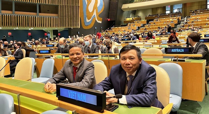 Đại sứ Nguyễn Hồng Thao tái đắc cử vào Ủy ban Luật quốc tế Liên hợp quốc